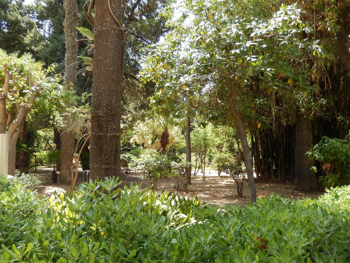 ريثيمنو Aloe Apartments المظهر الخارجي الصورة